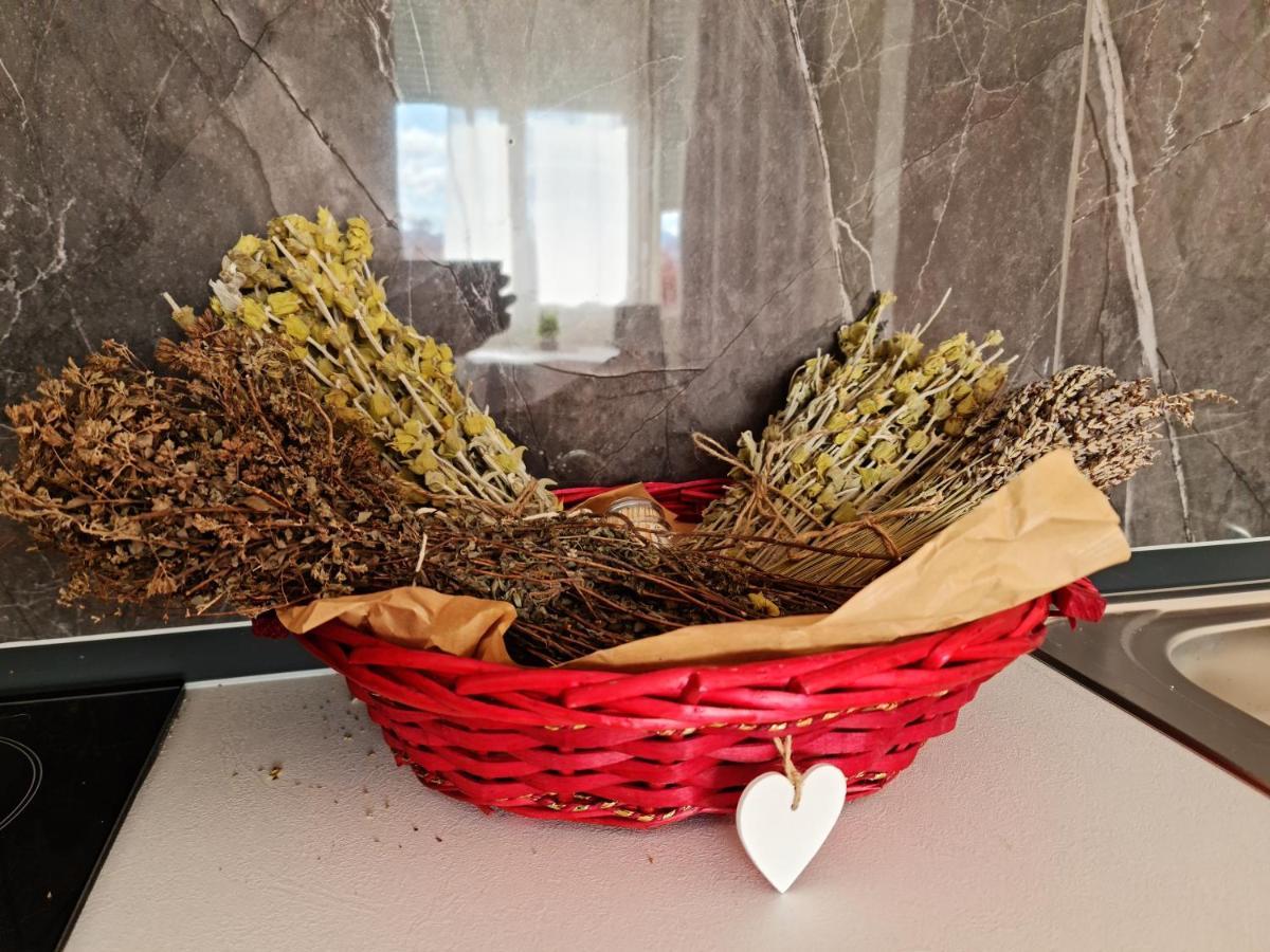 Lovely One Bedroom Studio In Tirana Buitenkant foto